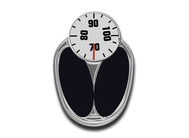 A Healthy Weight Gain for Catalogers